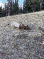 thumbnail_IMG_4665.jpg
