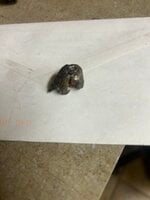 IMG_4328.jpeg