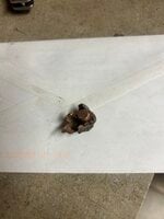 IMG_4329.jpeg