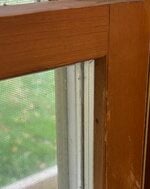 IMG_2622.jpeg