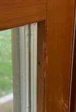 IMG_2625.jpeg