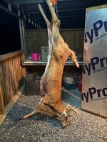 IMG_3814.jpeg