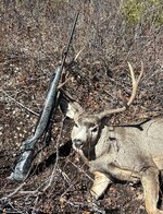IMG_2986.jpeg