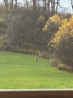 IMG_9299.jpeg IMG_9299.jpeg