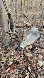 20251115_094003.jpg 20251115_094003.jpg