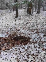 scrape1.jpg scrape1.jpg