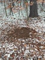 scrape2.jpg scrape2.jpg