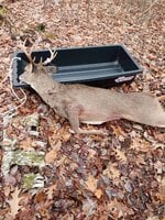 Howtoload.jpg Howtoload.jpg