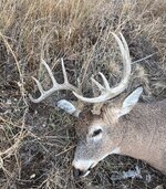 IMG_3164.jpeg IMG_3164.jpeg