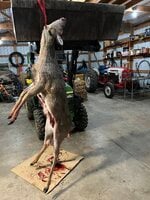 IMG_6434.jpeg IMG_6434.jpeg