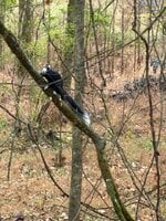 IMG_1007.jpeg IMG_1007.jpeg