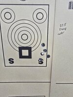 165 NBT 52.5 grains 2208.jpg