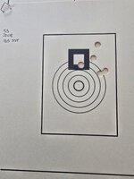 165 SST 53 grains 2208.jpg