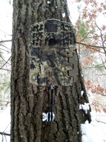 camera mount front.jpg