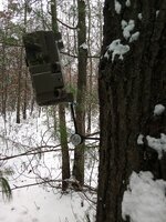 camera mount side.jpg