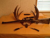 376 Steyr.JPG 376 Steyr.JPG