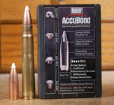 375 handload.JPG 375 handload.JPG