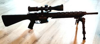 270 AR pic 02r02.jpg