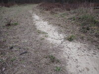 P4130568.JPG P4130568.JPG