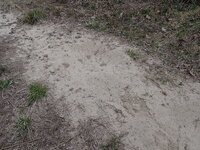 P4130567.JPG P4130567.JPG