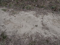 P4130566.JPG P4130566.JPG