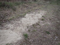 P4130565.JPG P4130565.JPG