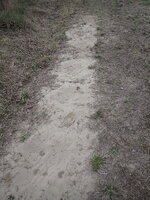 P4130564.JPG P4130564.JPG