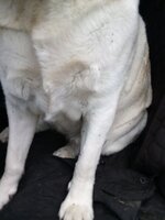 IMG_20260413_083708524.jpg IMG_20260413_083708524.jpg