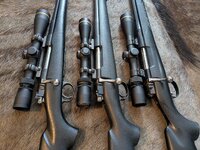 PXL_20250529_164356009 (1).jpg PXL_20250529_164356009 (1).jpg