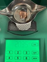 IMG_8158.jpeg