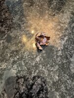 IMG_7944.jpeg