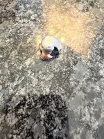 IMG_7945.jpeg