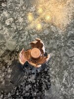 IMG_7946.jpeg