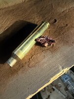 IMG_8250.jpeg