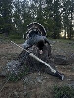 IMG_5105.jpeg