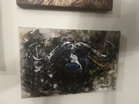 IMG_2770.jpeg