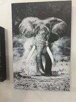IMG_2769.jpeg