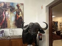 IMG_2768.jpeg