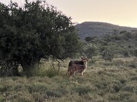 IMG_0344.jpeg