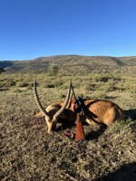IMG_0365.jpeg