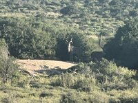 IMG_2828.jpeg