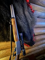 IMG_0791.jpeg