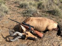 IMG_0474.jpeg