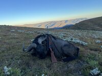 IMG_0369.jpeg