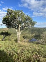 IMG_3043.jpeg