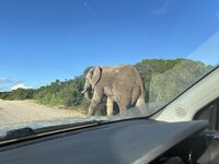 IMG_3110.jpeg