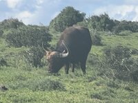IMG_3057.jpeg