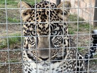 IMG_3190.jpeg