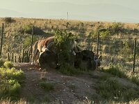 IMG_3171.jpeg