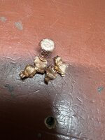 IMG_6876.jpeg